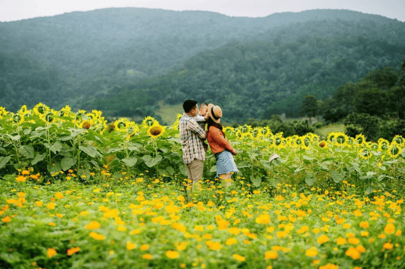 Best time of year to visit Dalat