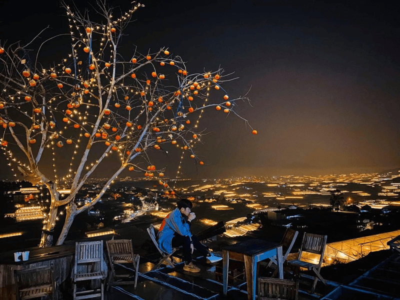 Visit the Bao Dai Palace, the former residence of the last emperor in Vietnam