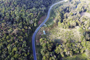 Overview of Traveling from Dalat to Nha Trang