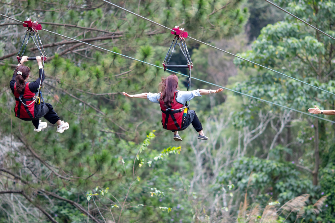 1,000-meter Zipline through the forests of Datanla Waterfall