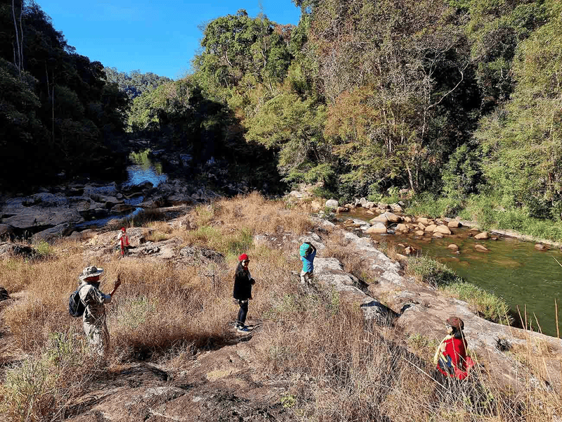 Pang Tieng Waterfall