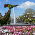 Highlights and main attractions of the Dalat flower festival