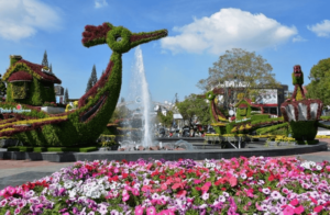 Highlights and main attractions of the Dalat flower festival