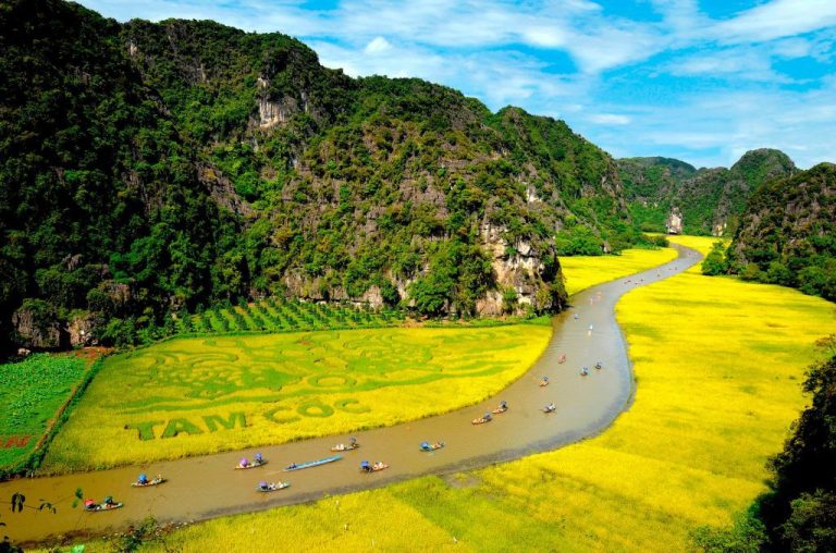 Thiết kế chưa có tên (16)