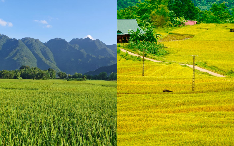 Scenery and nature - Mai Chau or Pu Luong