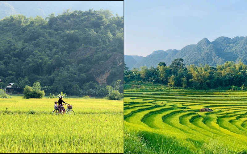 Mai Chau vs Pu Luong - Which destination is right for you