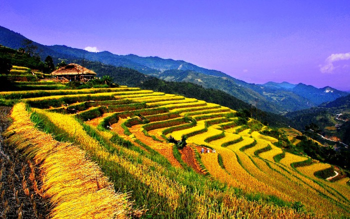 Rice terraces and Green valleys – A photographer’s paradise