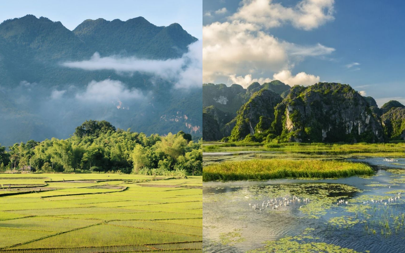 Cultural experience - Where to find authentic local life