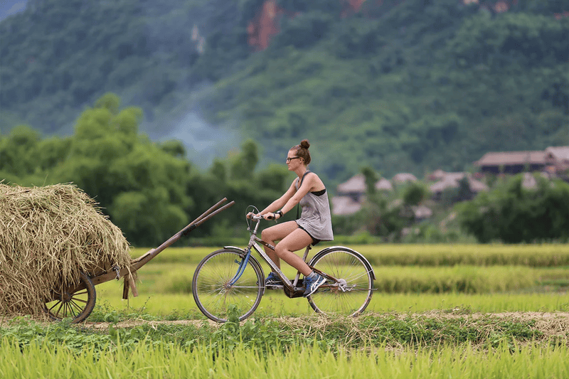 Rice field cycling