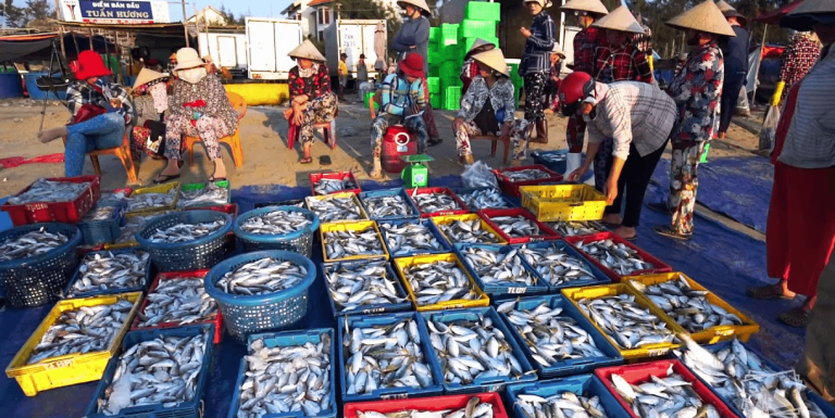 Your complete guide to Mui Ne Fishing Village Market