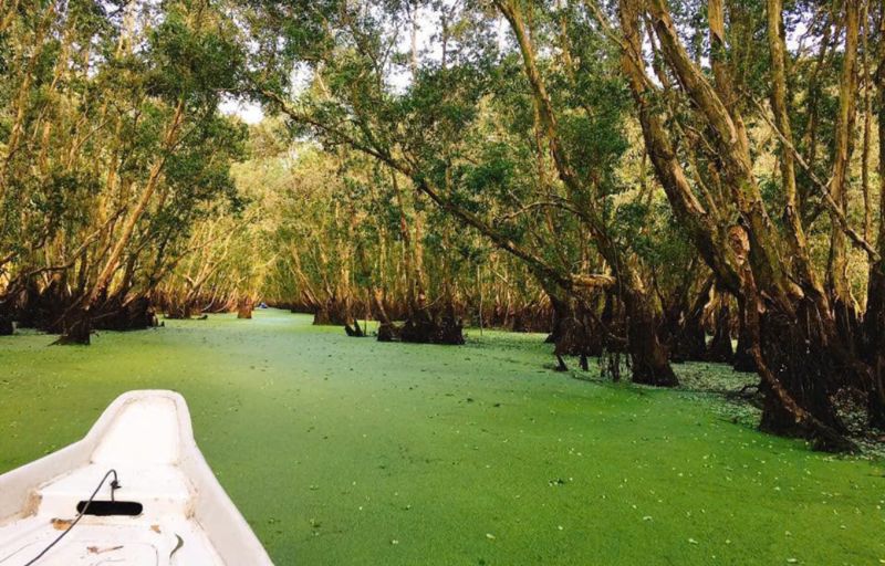 How the weather affects travel and activities in the Mekong Delta