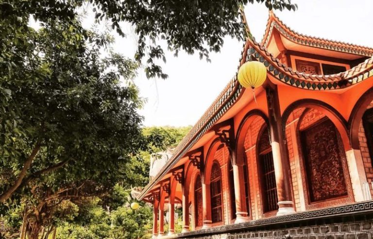 Wild monkeys at the pagoda - What visitors should know