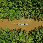 Ben Tre Mekong Delta: A journey to the Vietnam’s river life