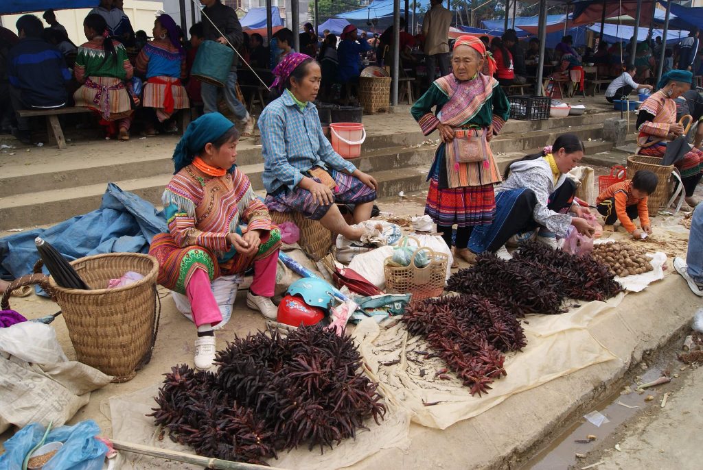 Rare herbal remedies gathered from the forested hillsides