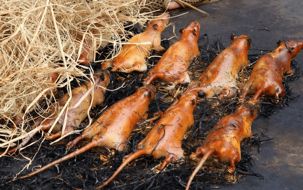 Sampling grilled field rat is a daring yet rewarding experience