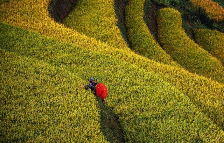 Tips for traveling from Hanoi to Mu Cang Chai