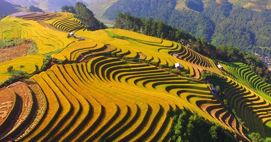 Best time to visit Mu Cang Chai