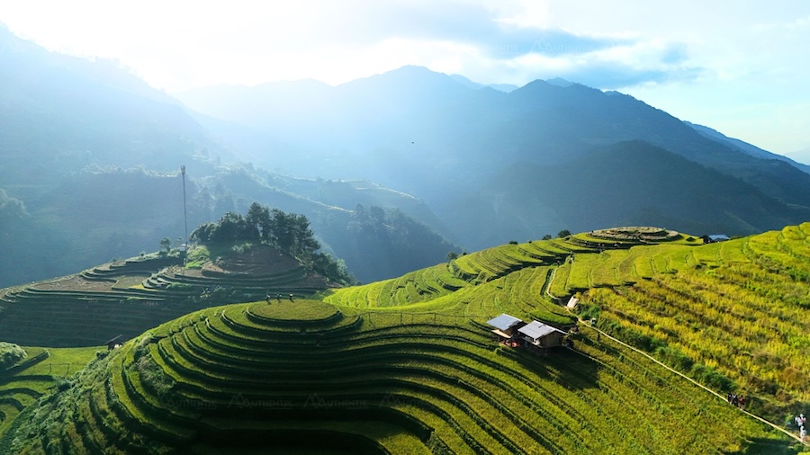 Introduction to Mu Cang Chai in Vietnam
