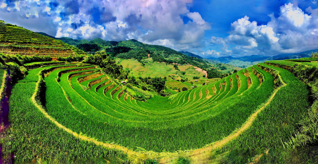 Who should choose Mu Cang Chai or Sapa
