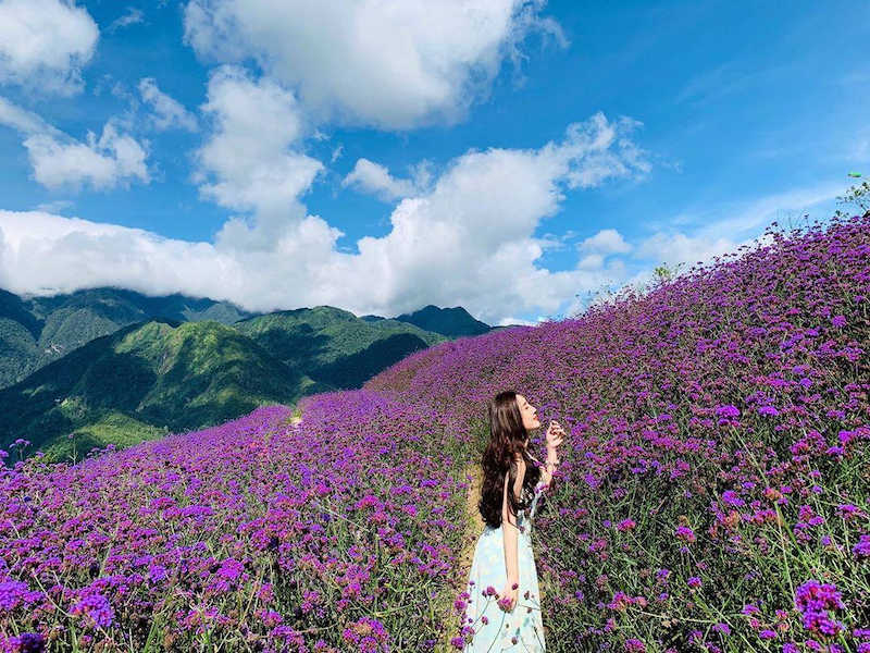 Muong Hoa Valley