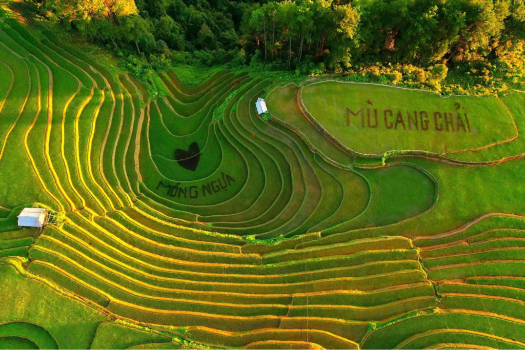 FAQs about choosing between Mu Cang Chai and Sapa