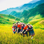 Mu Cang Chai or Sapa - Decide based on your travel style
