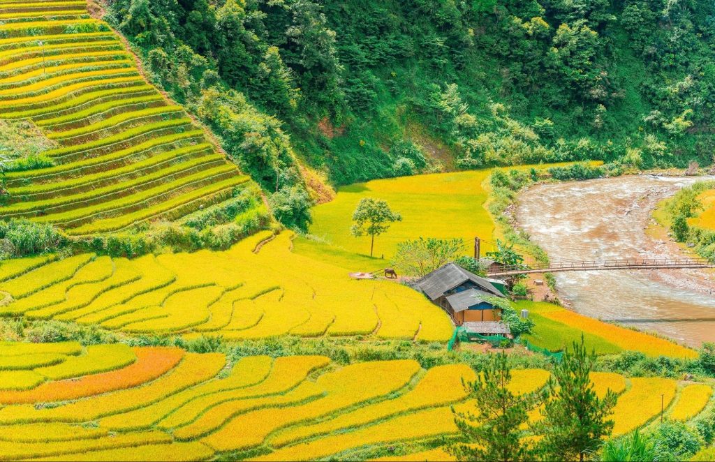 Mu Cang Chai or Sapa - Which one should you visit