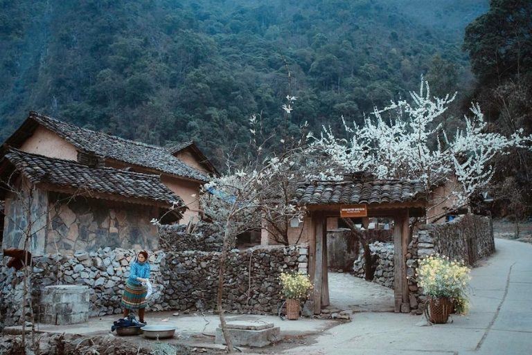 Overview of the Lung Cam village