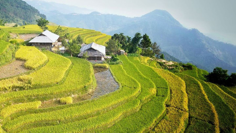 Sin Chai village