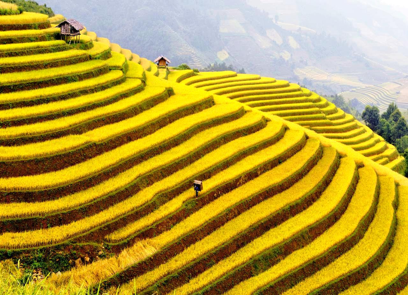 This is the most beautiful month of the year and is also rated by Lily's Travel as the most suitable time to travel to Cat Cat village.