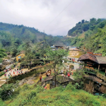 The best time to visit Cat Cat village in each month
