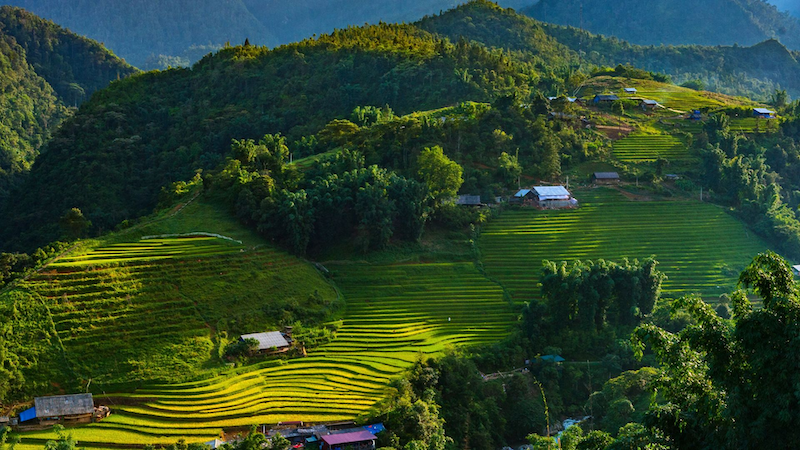 Terraced fields and natural landscapes