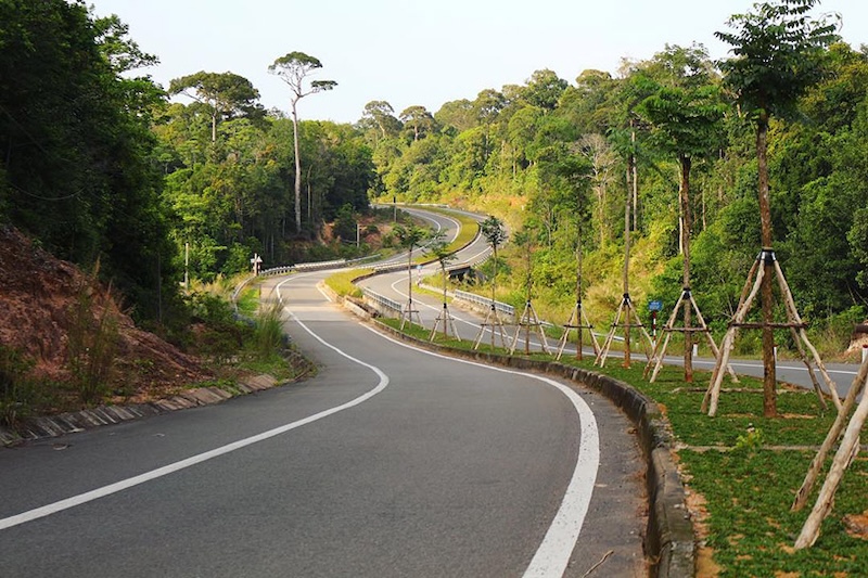Green trees as visitors enter the Phu Quoc National Park entrance 
