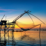 Rach Vem fishing village