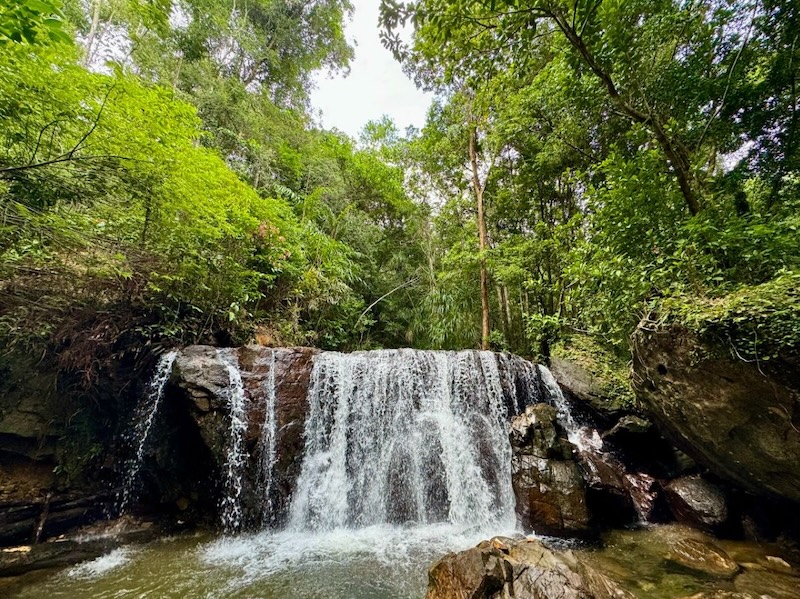 The image of a natural waterfall flowing in the forest is extremely powerful and vivid