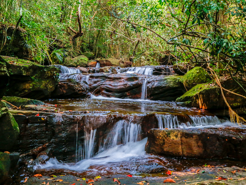 Best time to visit Tranh Stream
