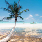 How to get to Sao Beach: The best way to enjoy on the path