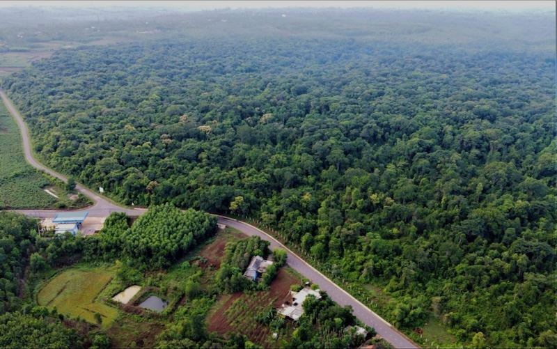 Seen from above, Phu Quoc National Park photos look like a green lung of Kien Giang province