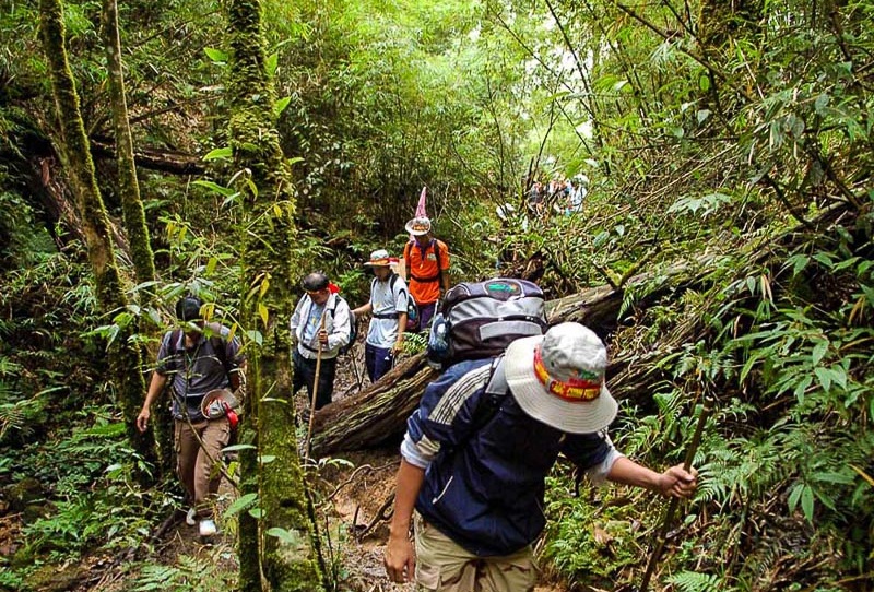 Tourists are trekking with the group