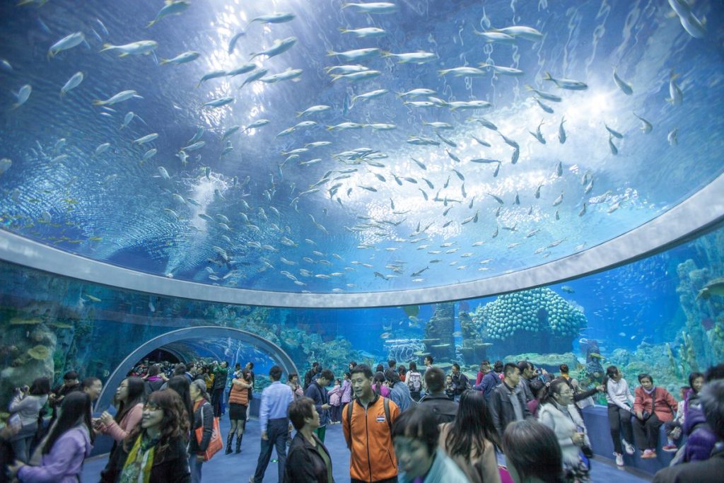 The National Oceanographic Museum Nha Trang is stunning, like a miniature aquarium