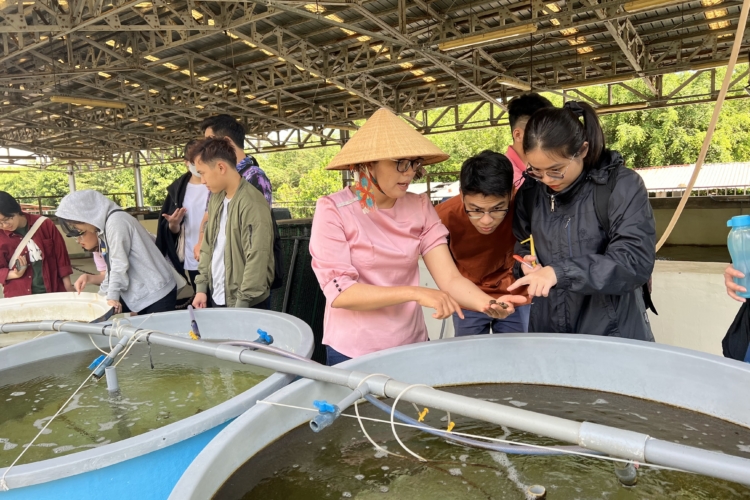 The museum guide is giving a presentation on the cultivation process to the students