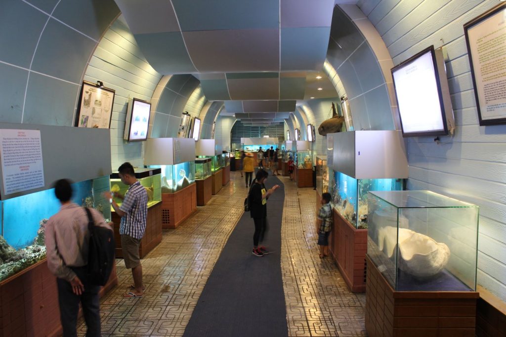 The exhibition area displays live marine life, categorized by tank