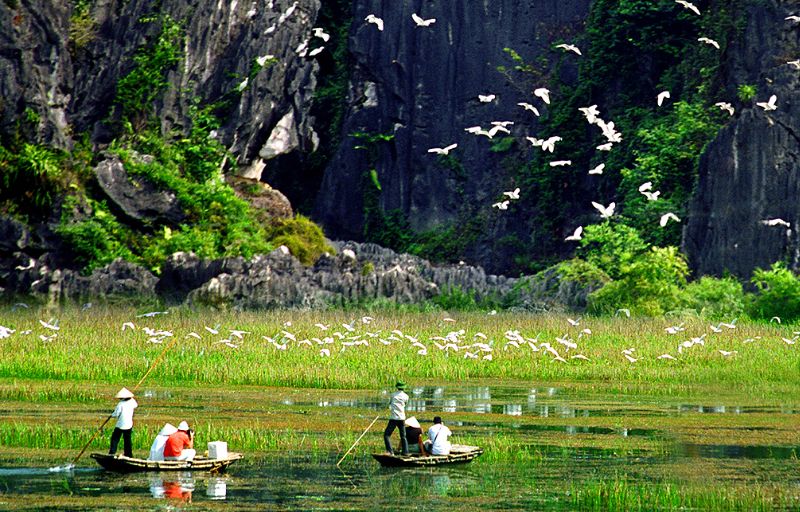 Tips for visiting Van Long Lagoon