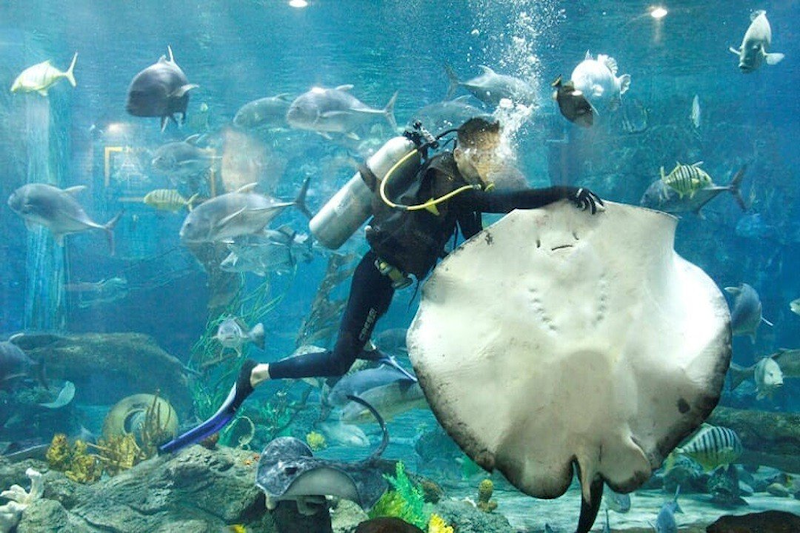 Join the interactive feeding sessions