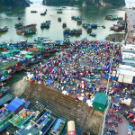 Hon Gai Market: Place to fully experience life of Nha Trang coastal locals