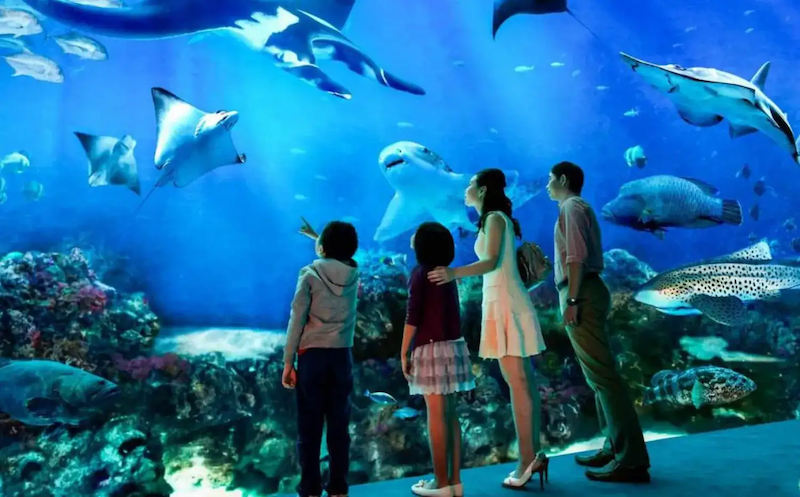 Vinpearl Aquarium Times City – A journey to the ocean beneath Hanoi