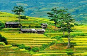 Best things to do in Yen Bai