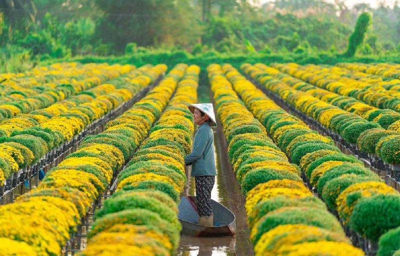 Where is Dong Thap in Vietnam, and why is it special