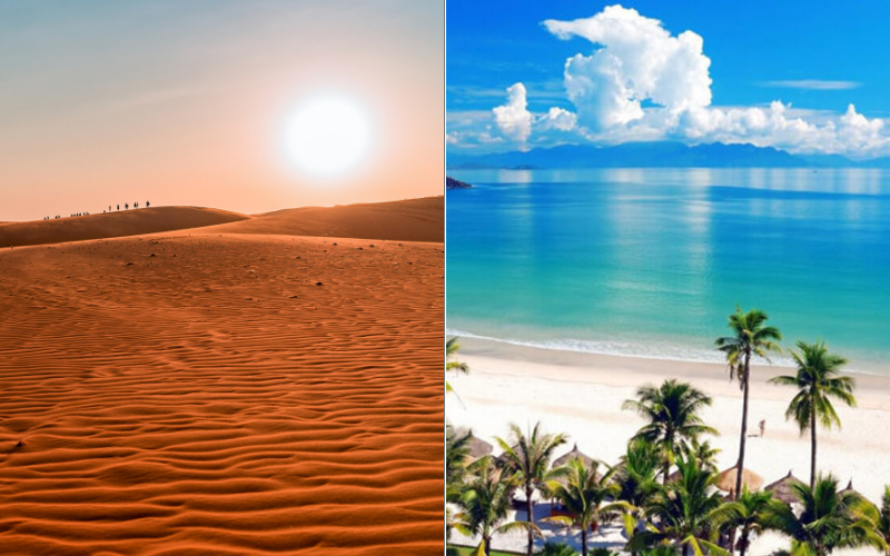 Beach quality and water activities compared