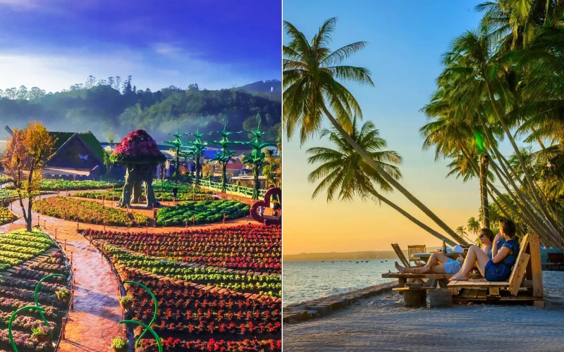 Dalat to Mui Ne travel tips